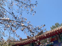 -碑林公园
