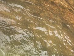 -五龙源极限漂流