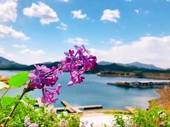 -北京金海湖景区