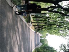 -同里国家湿地公园