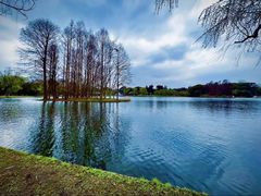 -上海共青森林公园