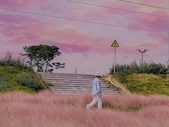 -王借岗森林公园
