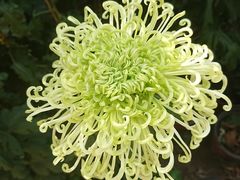 -上海市龙华烈士陵园