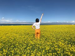 -青海湖国家重点风景名胜区