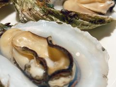 台山生蚝-79号渔船海鲜饭店(龙岗店)