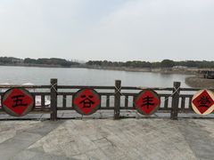 -上海都市菜园
