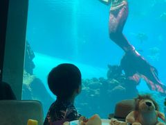 -海棠湾洲际-涛·海底餐厅·美人鱼·自助餐·海底隧道