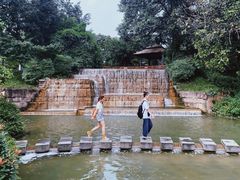 -成飞公园