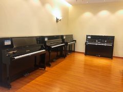 -知音艺术教育培训·钢琴培训·音乐培训(河西金鹰世界校区)