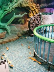 -酷嗒动物文化乐园(cutezoo西溪乐天城店)