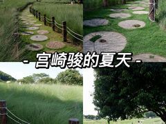 -红花山公园