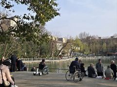 -莲湖公园