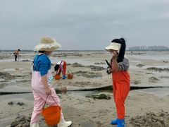 -北海金海湾红树林生态旅游区