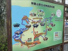 -西霞口神雕山野生动物世界