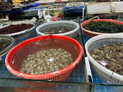 -望海潮海鲜店 特色家常菜(在海一方店)