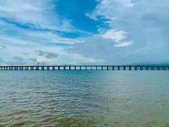 -宝安西湾红树林湿地公园