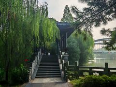 -范蠡湖公园