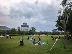 -九龙公园