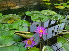 -国家植物园南园