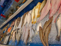 -北塘海鲜·天津菜(大光明桥旗舰店)