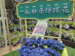 -瑞虹新天地月亮湾