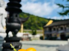 -黄贤森林公园