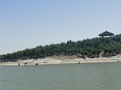 -南大港湿地风景区