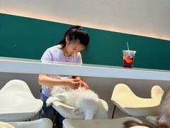 -飞行喵MR PILOT|猫舍·猫咖(静安大融城店)