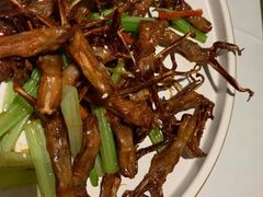 美极炬鸭舌-同喜烤鸭店(光芒店)