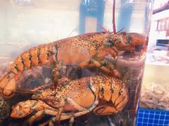 -半岛听涛蒸汽海鲜自助(K11店)