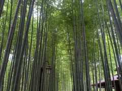 -宝岩生态观光园