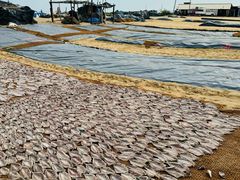 -尼甘布海鲜市场