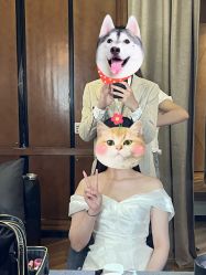 点击看大图 -金夫人婚纱摄影(总店)