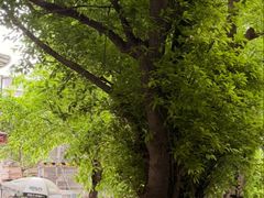 -同古舍博物馆酒店(江南西店)