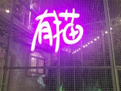 门面-有猫主题·治愈系猫咖(曾厝垵店)