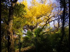 -虞山风景区