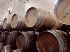 -北京张裕爱斐堡酒庄