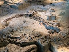 -自贡恐龙博物馆