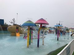 -秦皇岛乐岛海洋王国