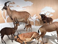 -陕西自然博物馆