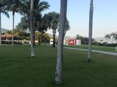 -宴悦海鲜餐厅·游水海鲜·牛排(亚龙湾瑞吉店)