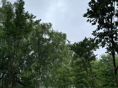 -太阳岛旅游度假区
