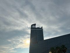 -金沙湖公园