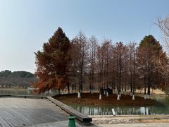 -苏州东太湖生态园