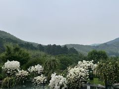 -怪咖·joker陈楠