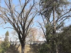 -镇江市南山风景名胜区竹林景区