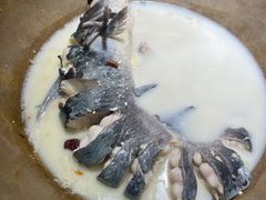 蒸汽长江黑洄鱼-滇小鱼·云南野生菌火锅(上杭路店)