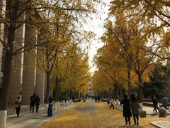 -北京化工大学(东校区)
