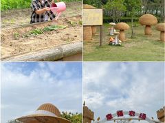 -汕头中海黄金海岸水上乐园