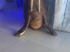 -石家庄海洋公园
